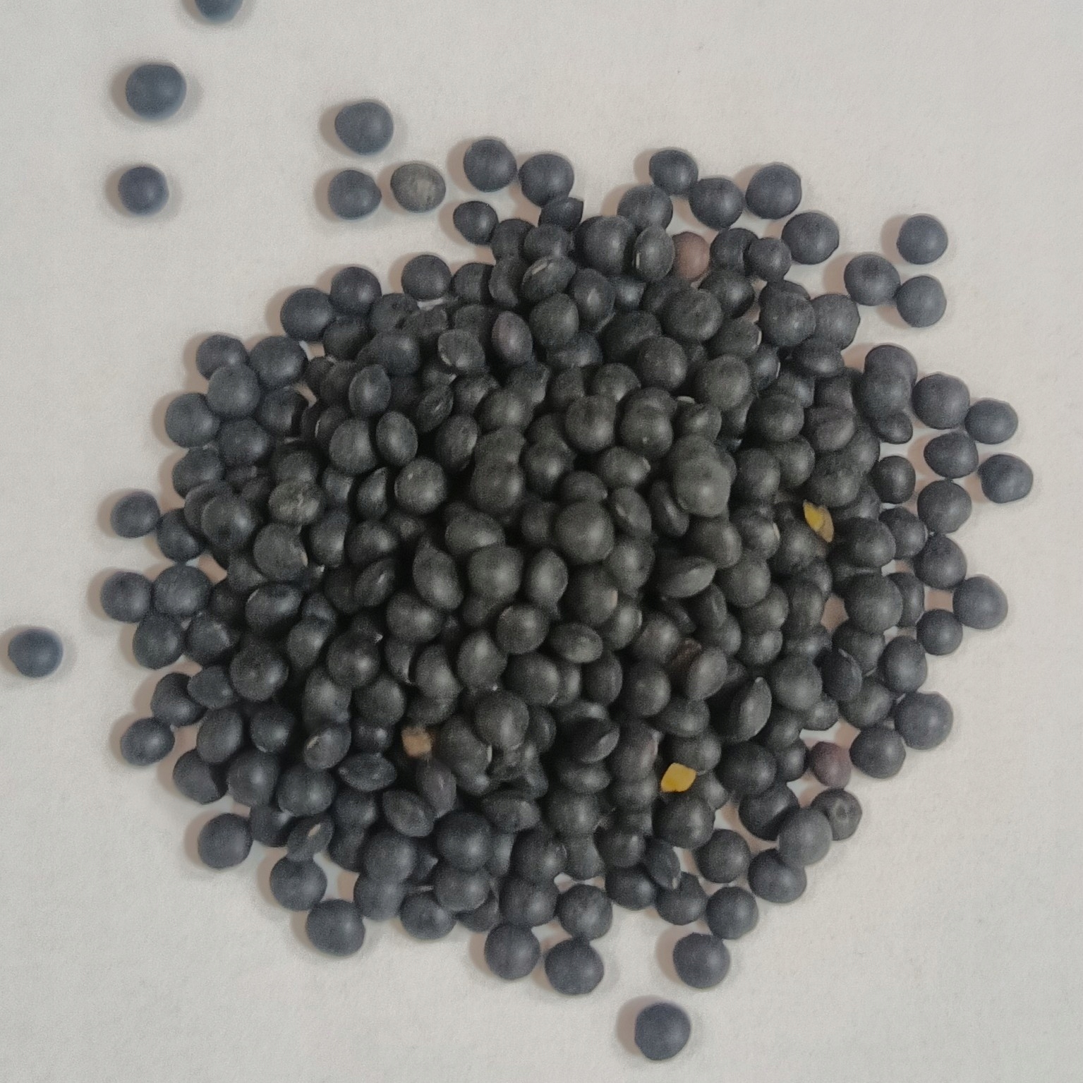 Levně Beluga Černá Čočka 25 kg Rafex