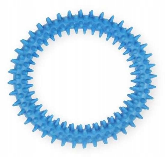 

Ringo zabawka gryzak psa Pet Nova miętowy 12,5 cm