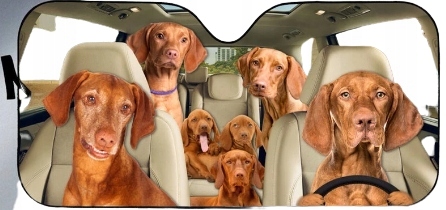 Osłona przeciwsłoneczna do samochodu psy z psami Producent inny