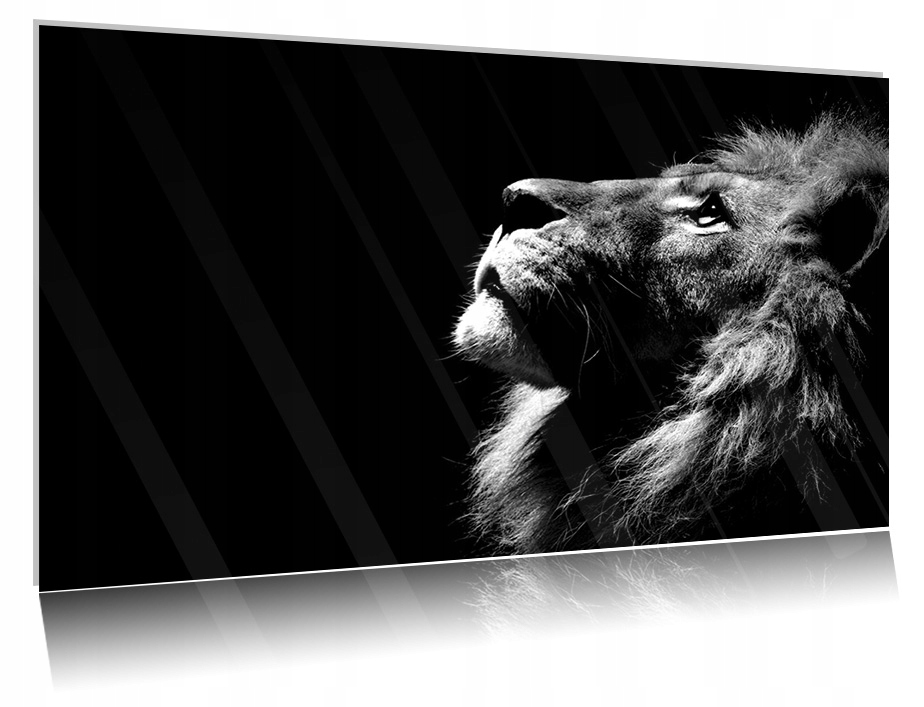 

Obraz szklany na szkle Lew 04 30x20