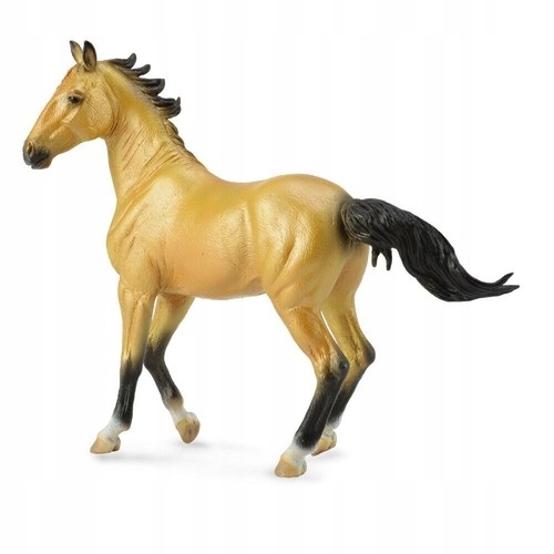 

Klacz Akhal-Teke Mare Buckskin (88624)