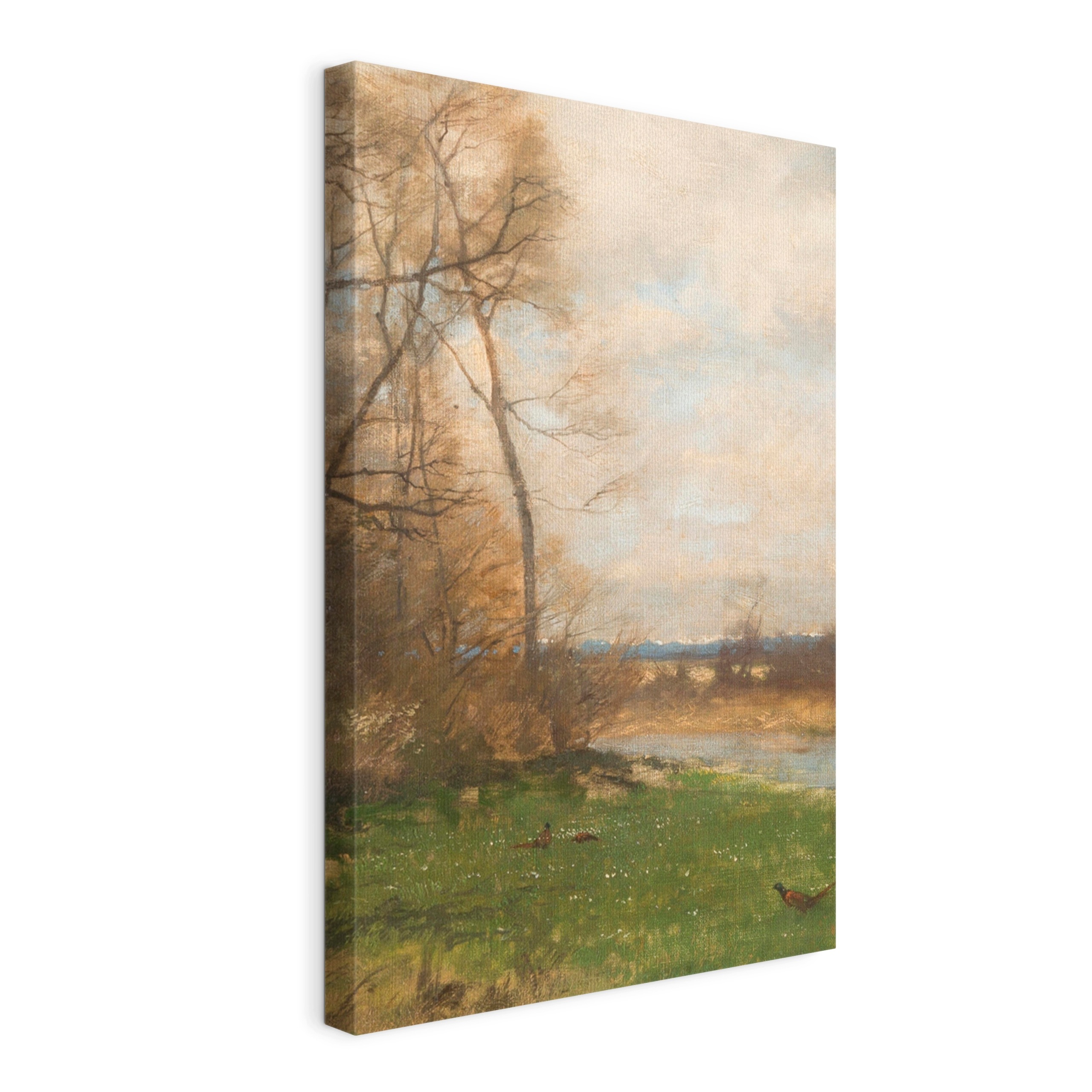 Obraz na plátně Bažant nad řekou 45x30 cm