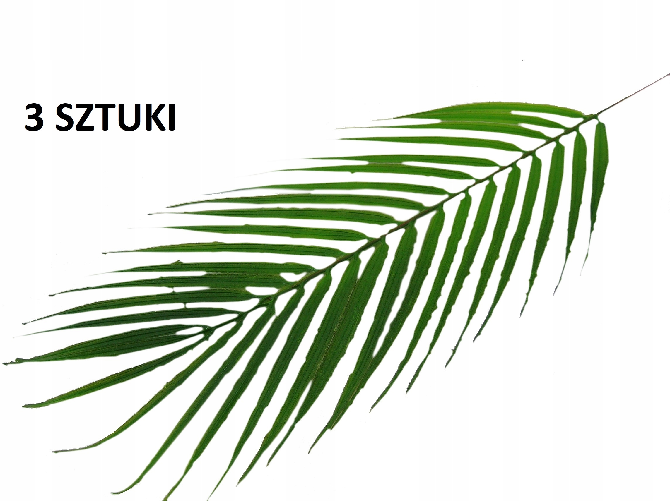 

Sztuczny Liść Palmy Komplet 3 Sztuk Liście