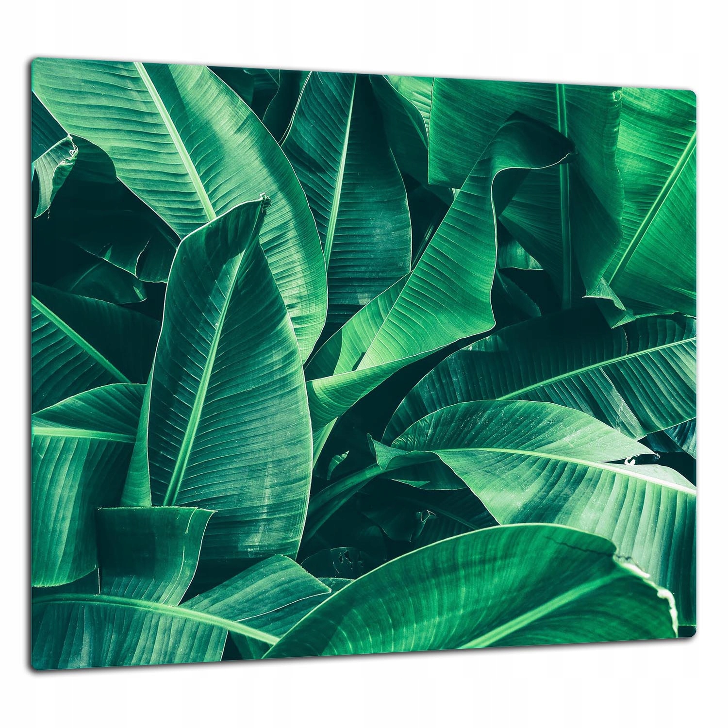 Skleněná Ochranná Deska Panel Lepidlo 65x60 Listy Lacobel 7v1