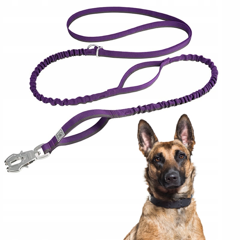 Levně Vodítko Pro Psa S Tlumičem Silné Winhyepet Fialové 2,7 M