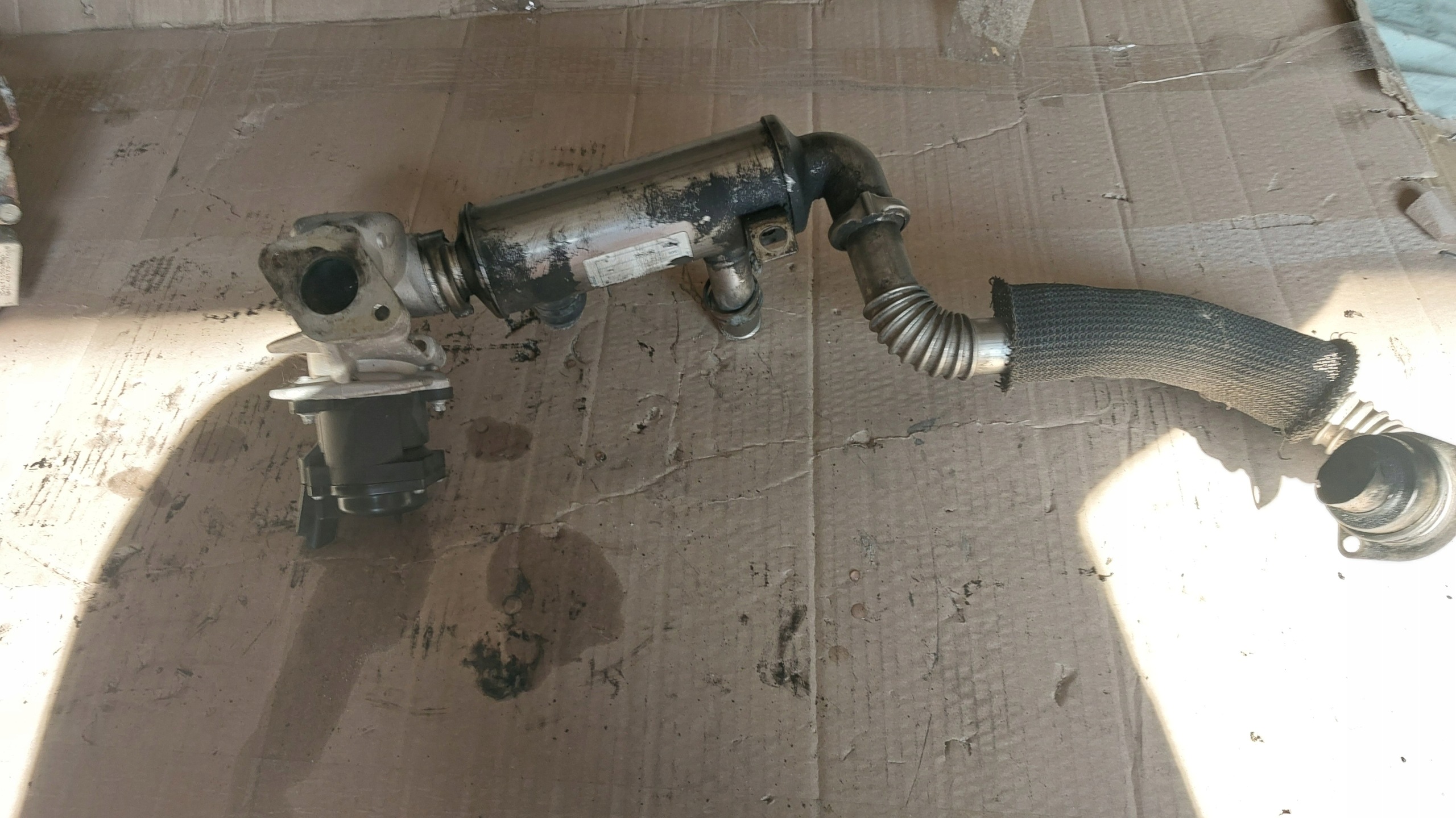 EXPERT SCUDO JUMPY 07->R. 1.6 HDI Sensor Kühler Gase EGR 9649358780