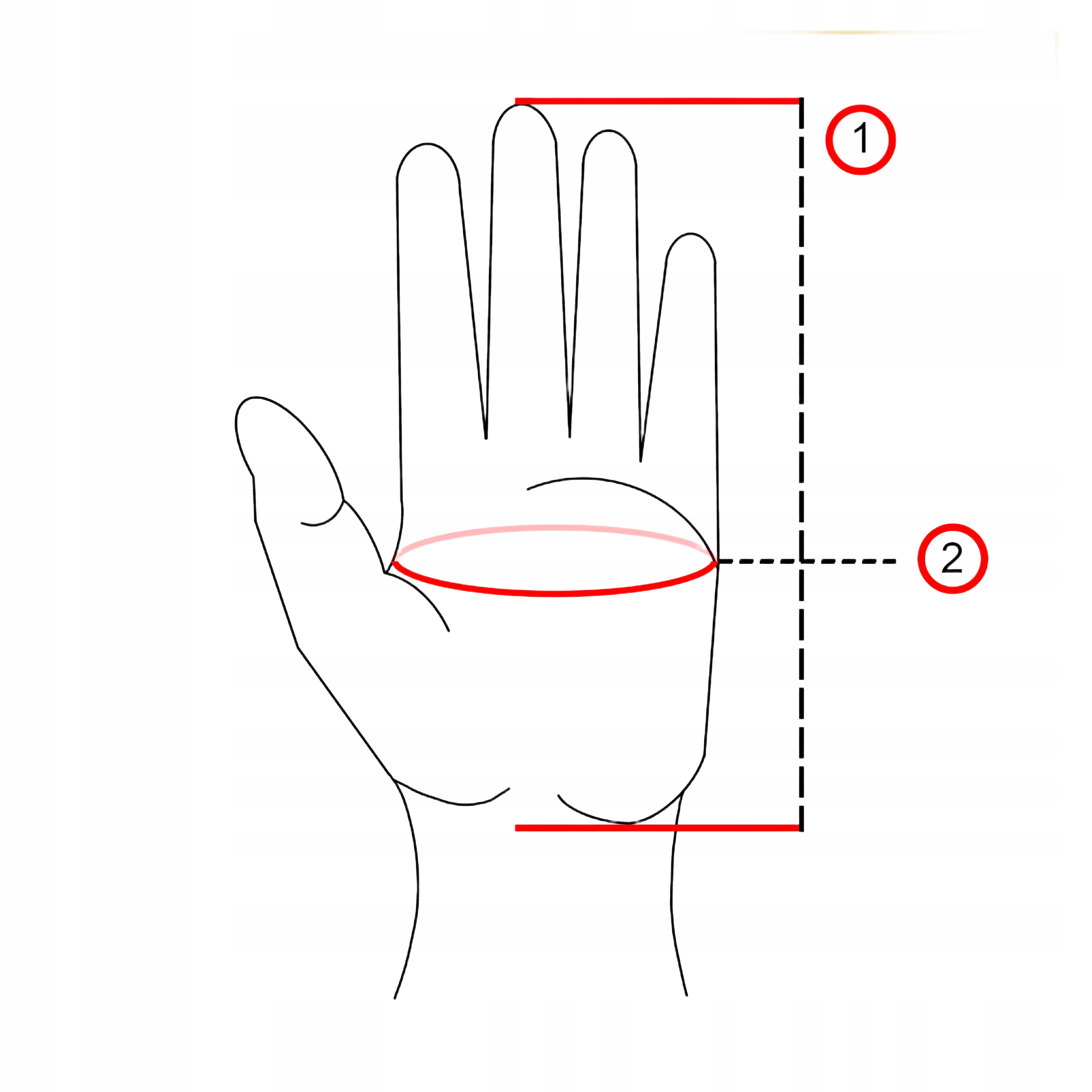 RĘKAWICZKI DOTYKOWE DAMSKIE ZIMOWE CZARNE OCIEPLANE Z MESZKIEM RUN ERCOLE Płeć chłopiec