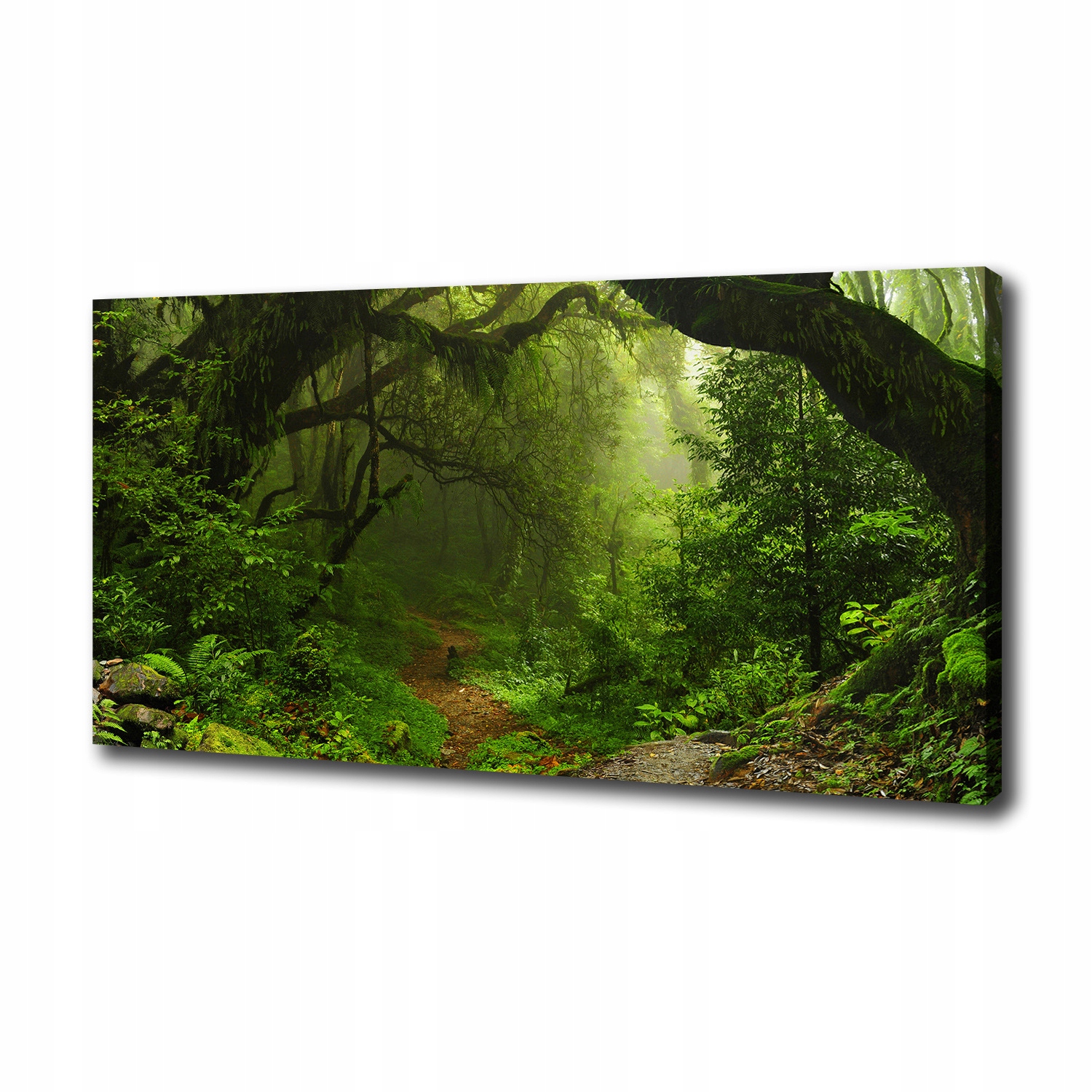 

Foto obraz na płótnie Dżungla w Nepalu 100x50 cm