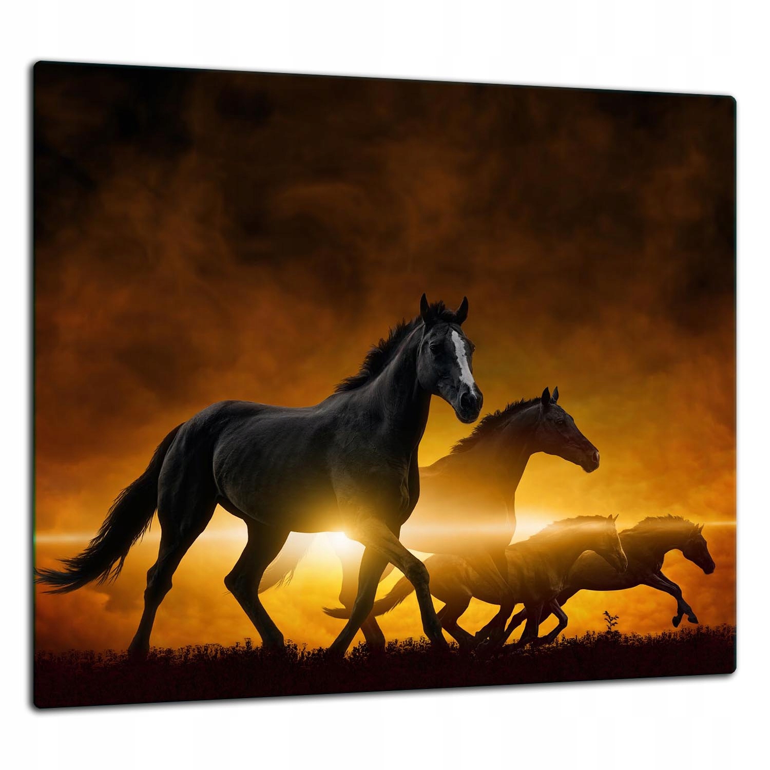 7v1 Skleněná Ochranná Deska Panel Lepidlo 65x60 Koně