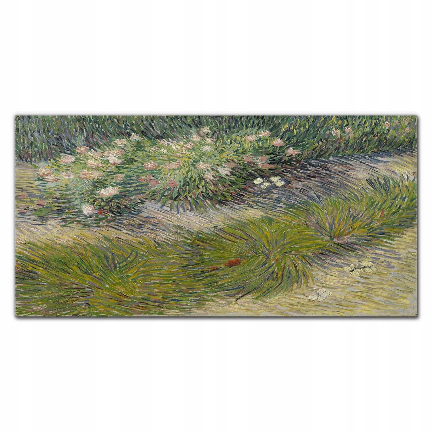 Fotoobraz vytlačený na plátne Les tráva 140x70