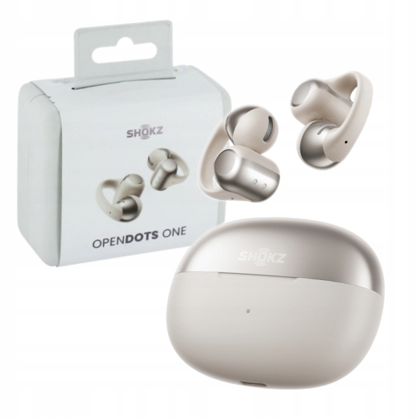 Shokz OpenDots One Bezdrátová sluchátka Šedá