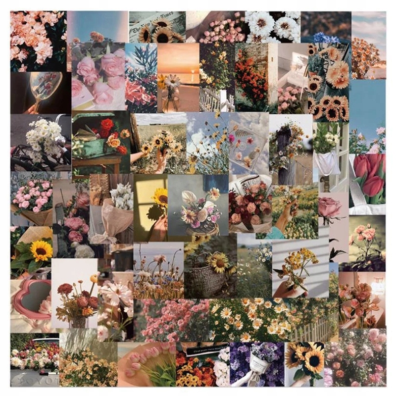 

Naklejki Wlepy Stickers Bomb MIX Kwiaty Retro 50sz