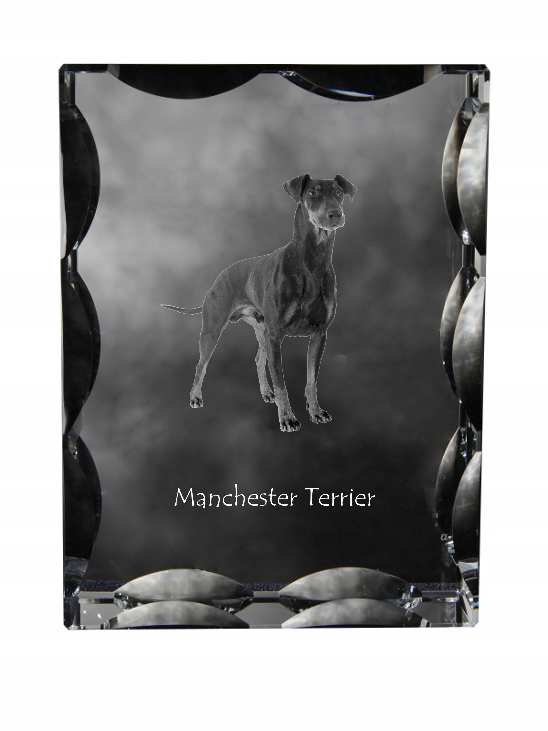 Manchester Terrier fotografia psa v ozdobnom kryštáli, suvenír, dekorácia