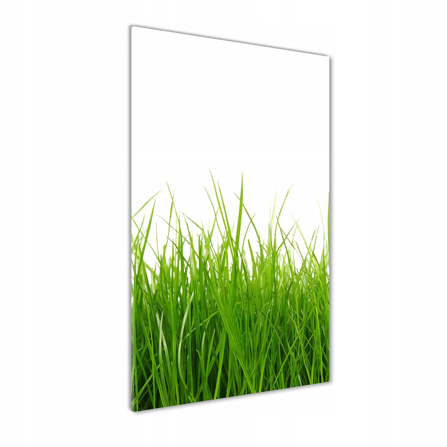 

Foto obraz szkło hartowane Zielona trawa 60x120 cm