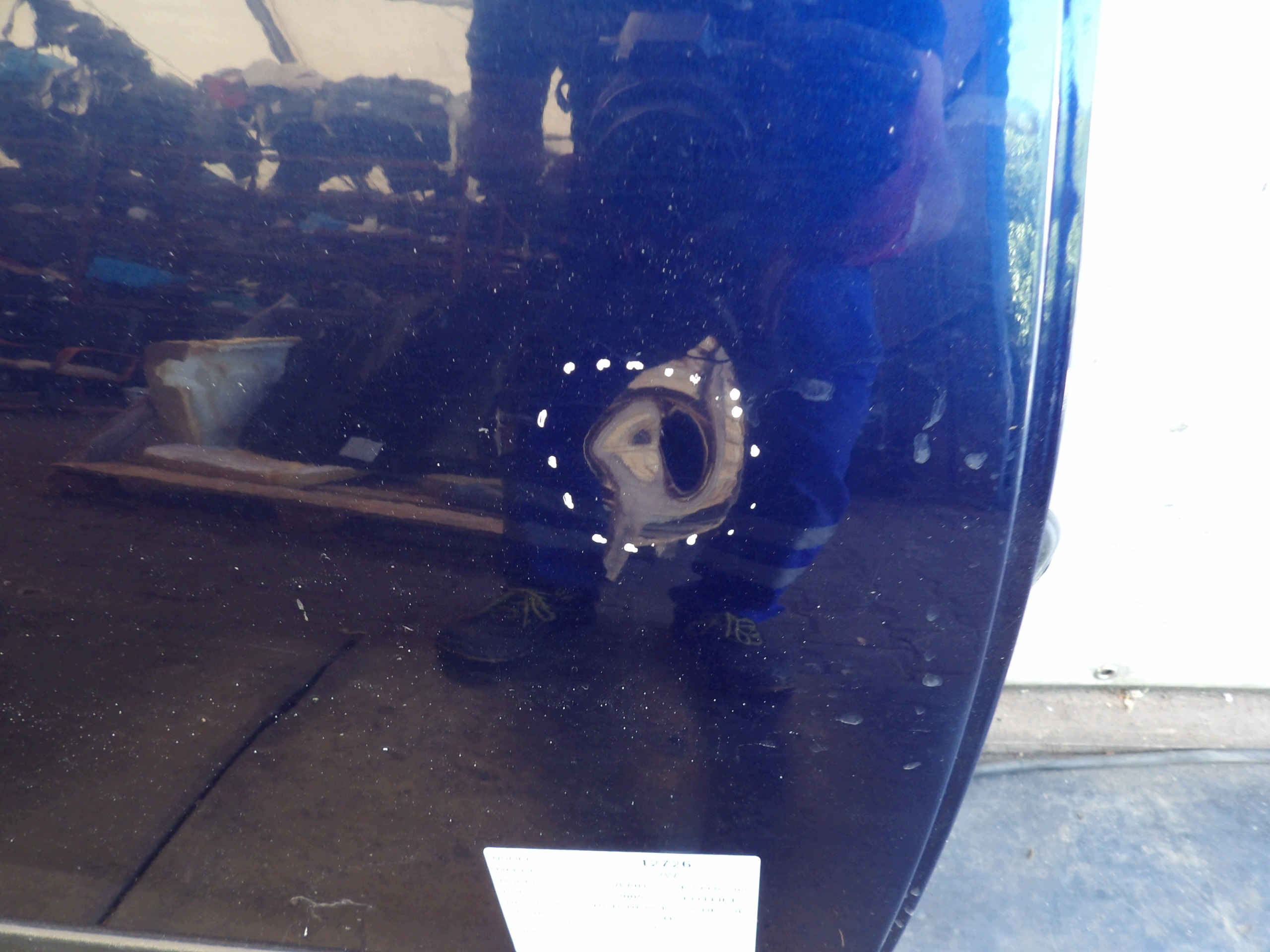VW Polo 9N door rear. right LD5Q