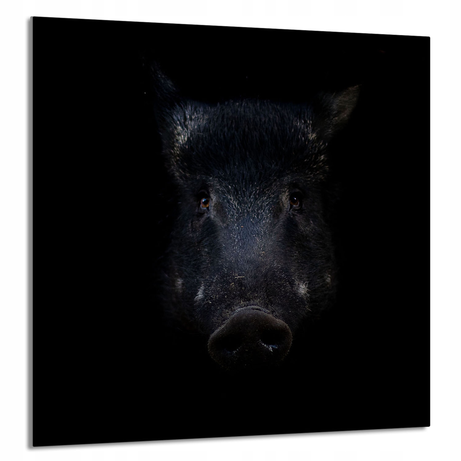 Skleněný Panel Do Kuchyně 60x65 Divoký Tvrzené Sklo