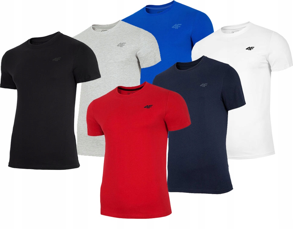 МУЖСКАЯ ФУТБОЛКА 4F T-SHIRT КОМПЛЕКТ 6 ШТУК г..L