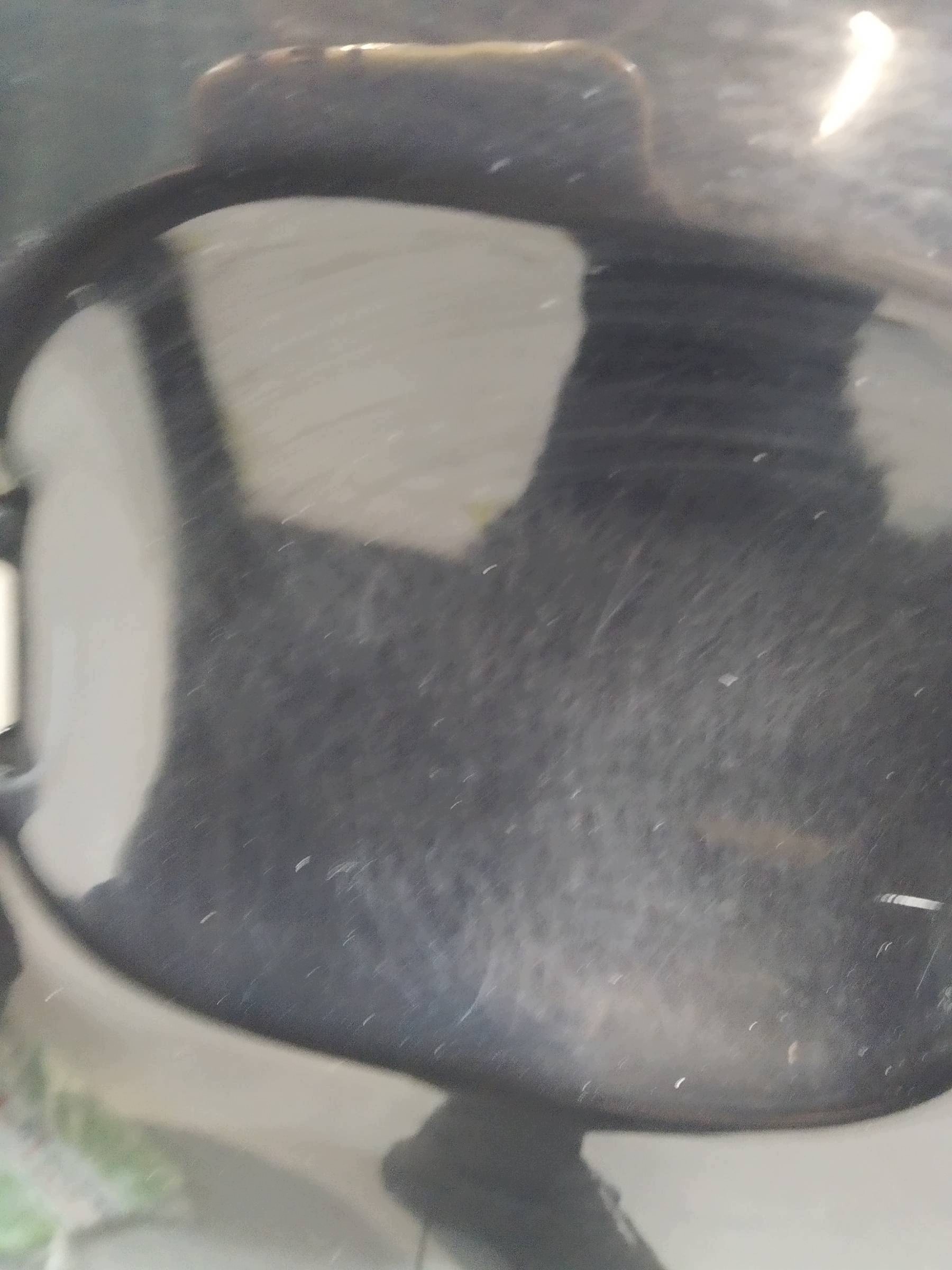 door left front LC9X Audi SQ7 and (2016-2026)