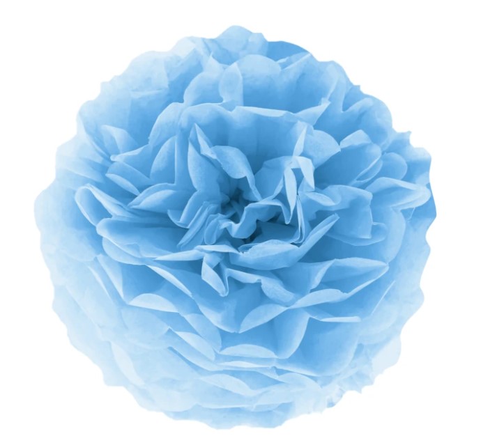 

Kula baby blue dekoracyjny Pompon bibułowy 15cm