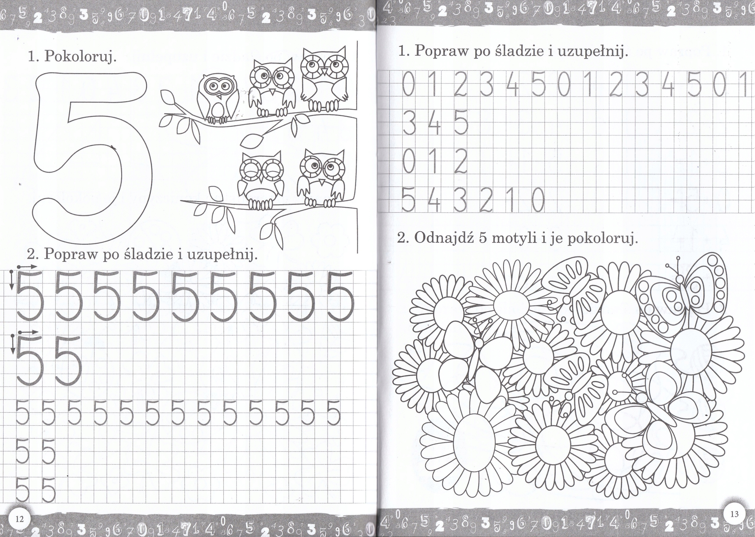 Kaligrafia matematyczna Zestaw+Naklejki cyferki Nośnik książka papierowa