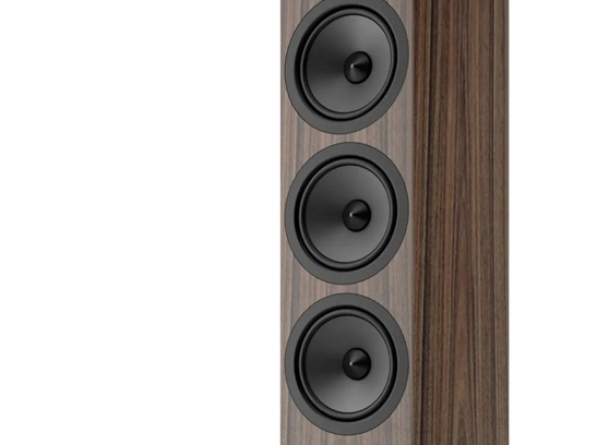 KOLUMNY PODŁOGOWE ACOUSTIC ENERGY AE120 MK2 ORZECH Rodzaj podłogowe