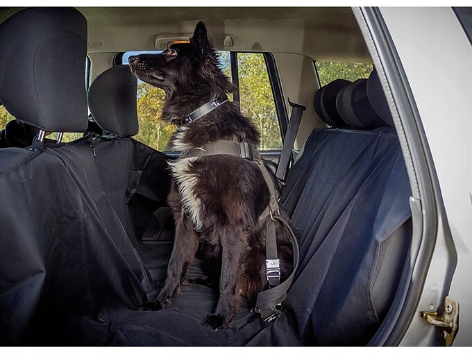 Levně Ochranná deka pro psa mezi sedadla Profi 145x147 cm černá