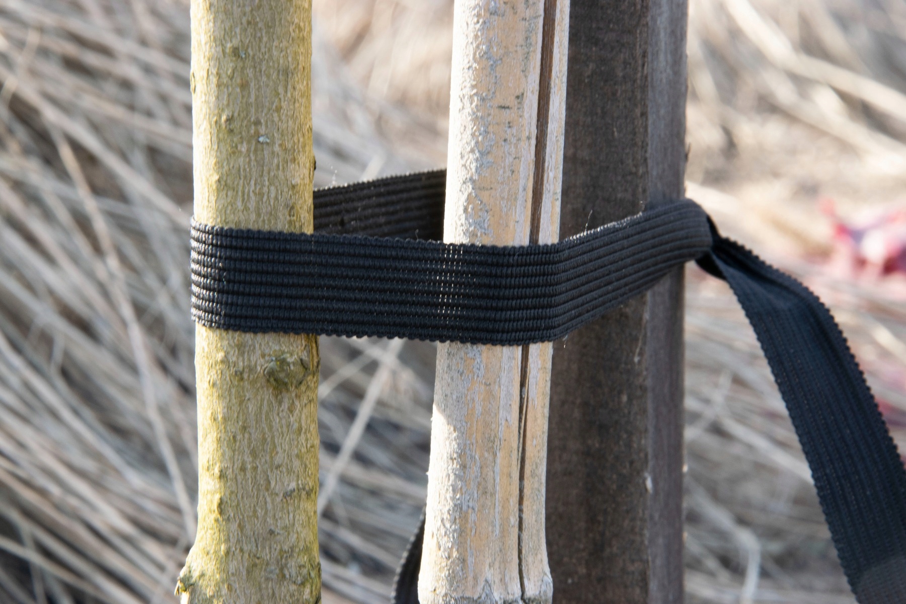 TAŚMA DO MOCOWANIA ROŚLIN DRZEW KRZEWÓW BARDZO MOCNA 26mm DŁUGA 50M 26X50 Marka BS TRADING GROUP