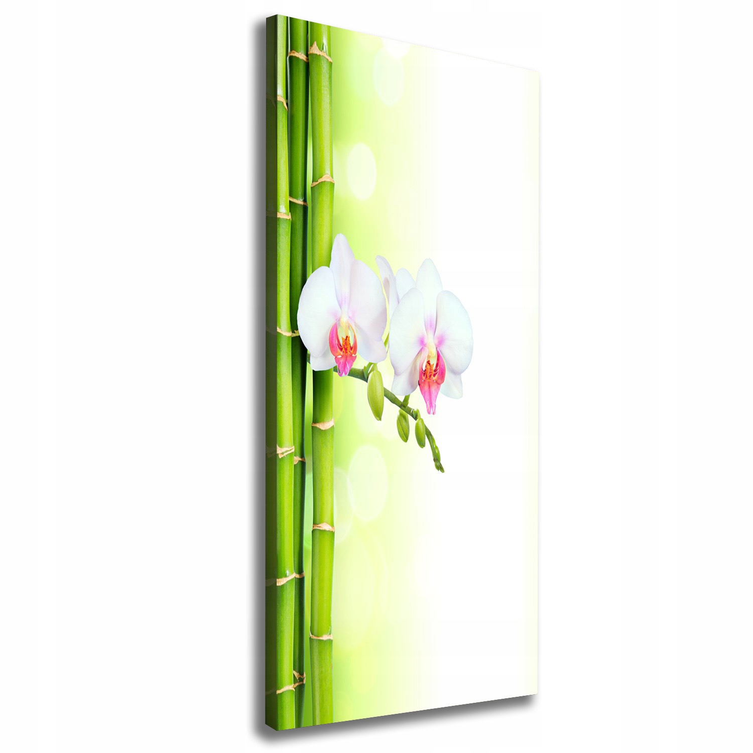 

Foto obraz na płótnie Orchidea i bambus 50x125 cm