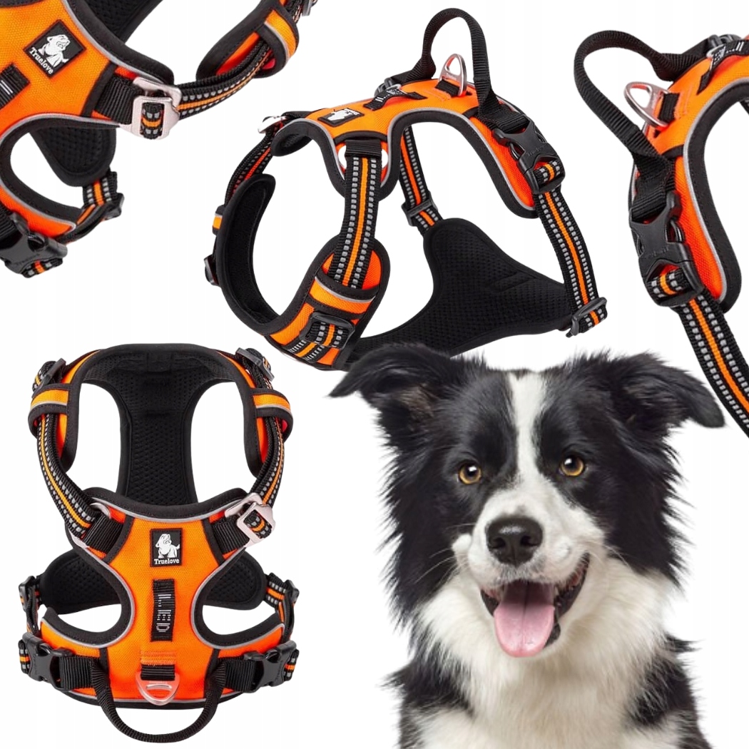 Levně Postroje Pro Psa Nastavitelné Truelove Front Line Premium Silné Oranžové L