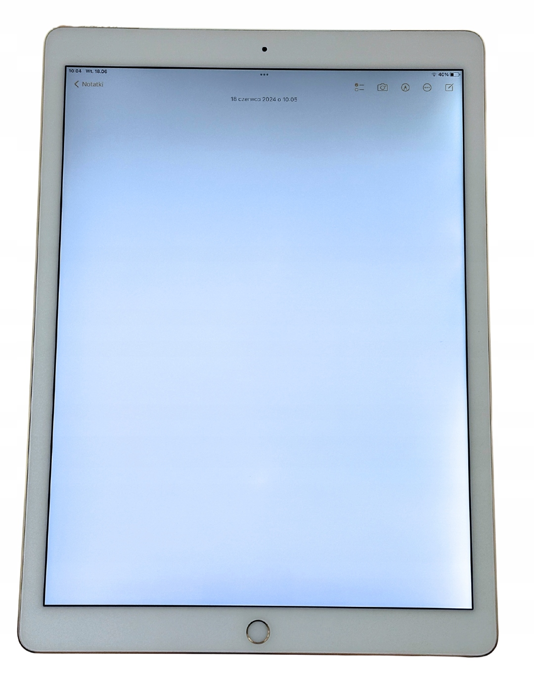 iPad Pro 12.9 第1世代 A1652 ゴールド 128G 第1世代】iPad Pro 12.9インチ Wi-Fi 128GB ゴールド ML0R2J/A