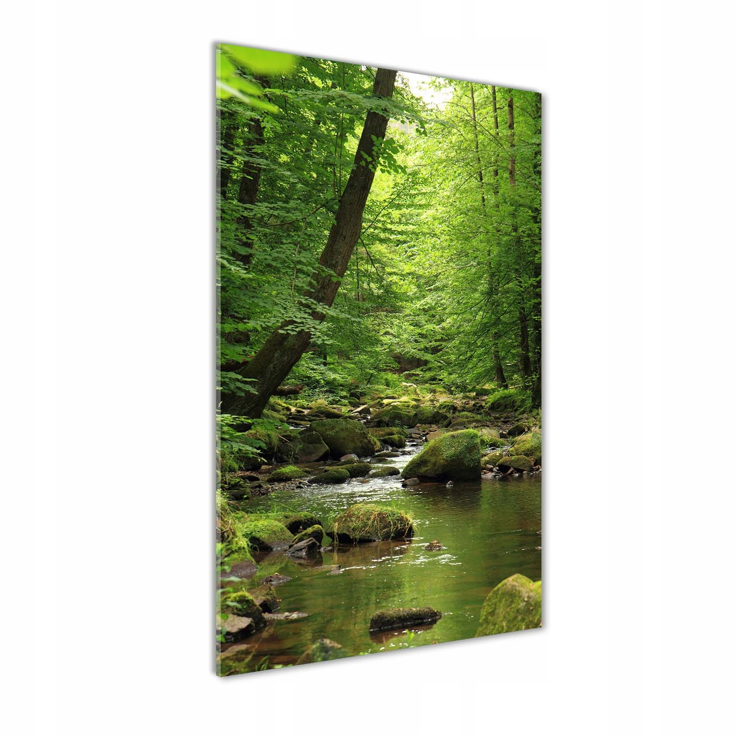 

Foto obraz szkło hartowane Rzeka w lesie 60x120 cm