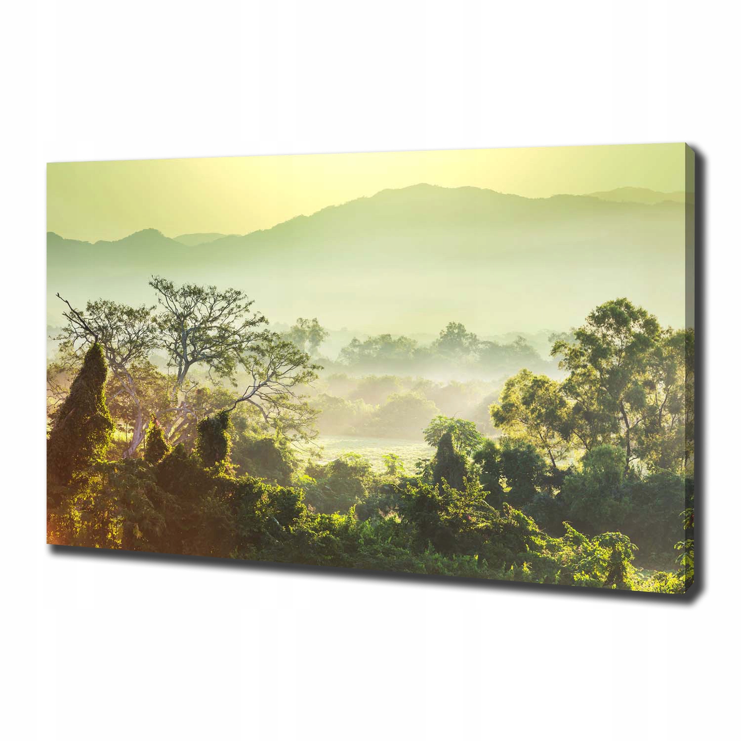 

Foto obraz canvas na ścianę Dżungla 100x70 cm