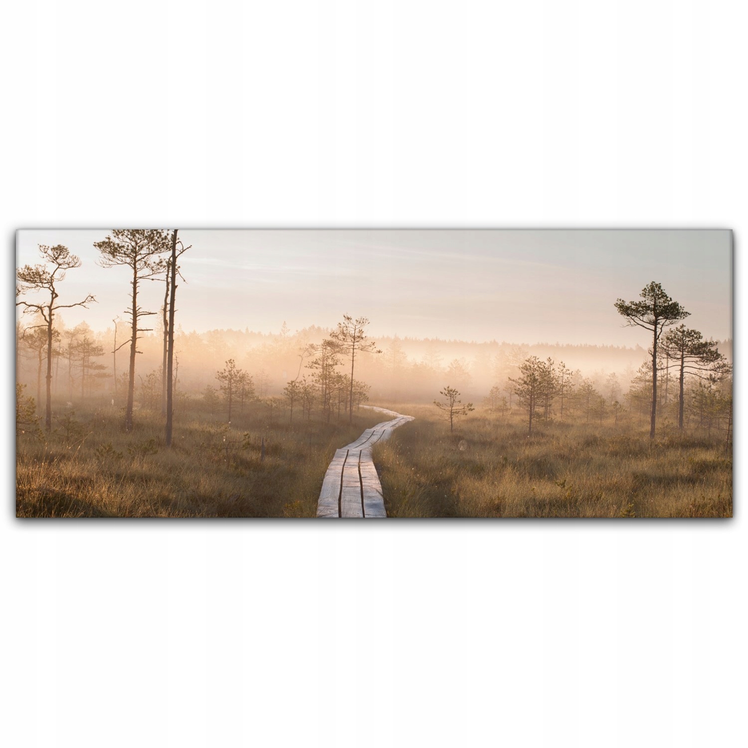 

Foto-obraz canvas 125x50 Droga Las Zachód Słońca