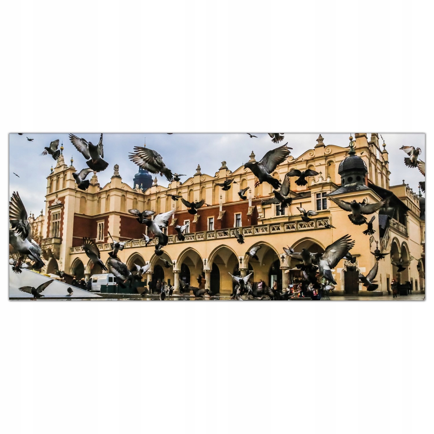 

Obraz na szkle Foto Gołębie Kraków Rynek 125x50