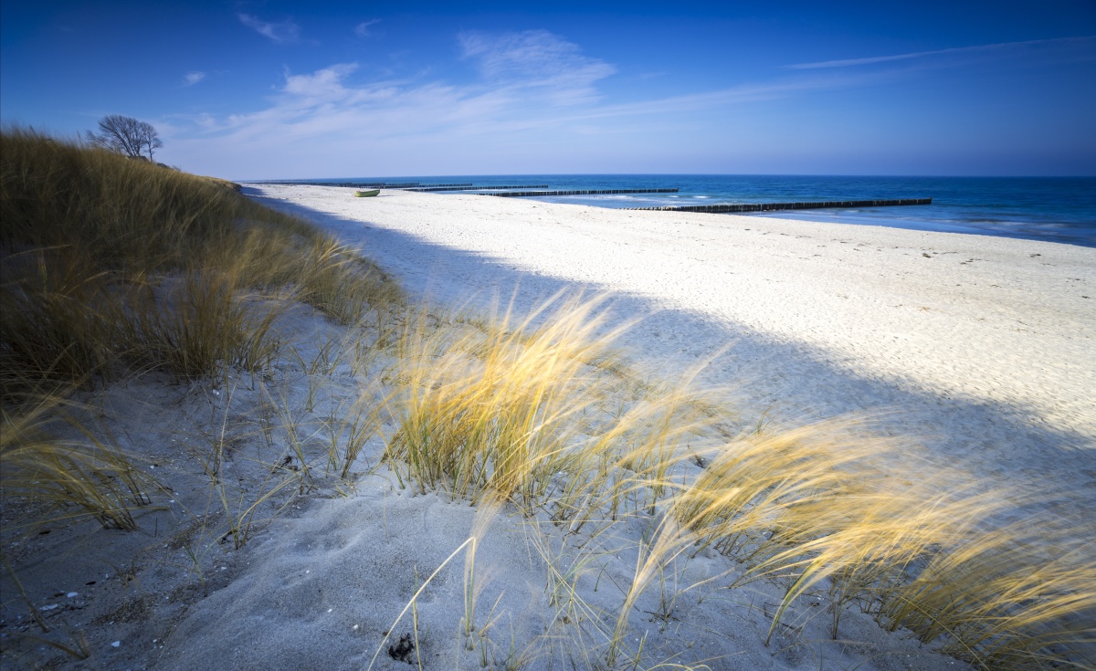 

Fototapeta Flizelinowa Morska plaża 416x254