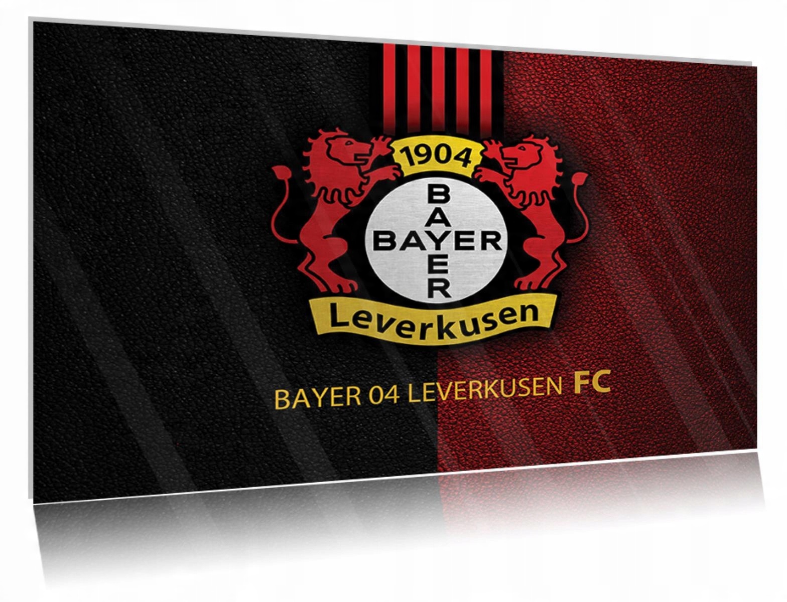 

Obraz szklany na szkle Bayer Leverkusen 02 30x20