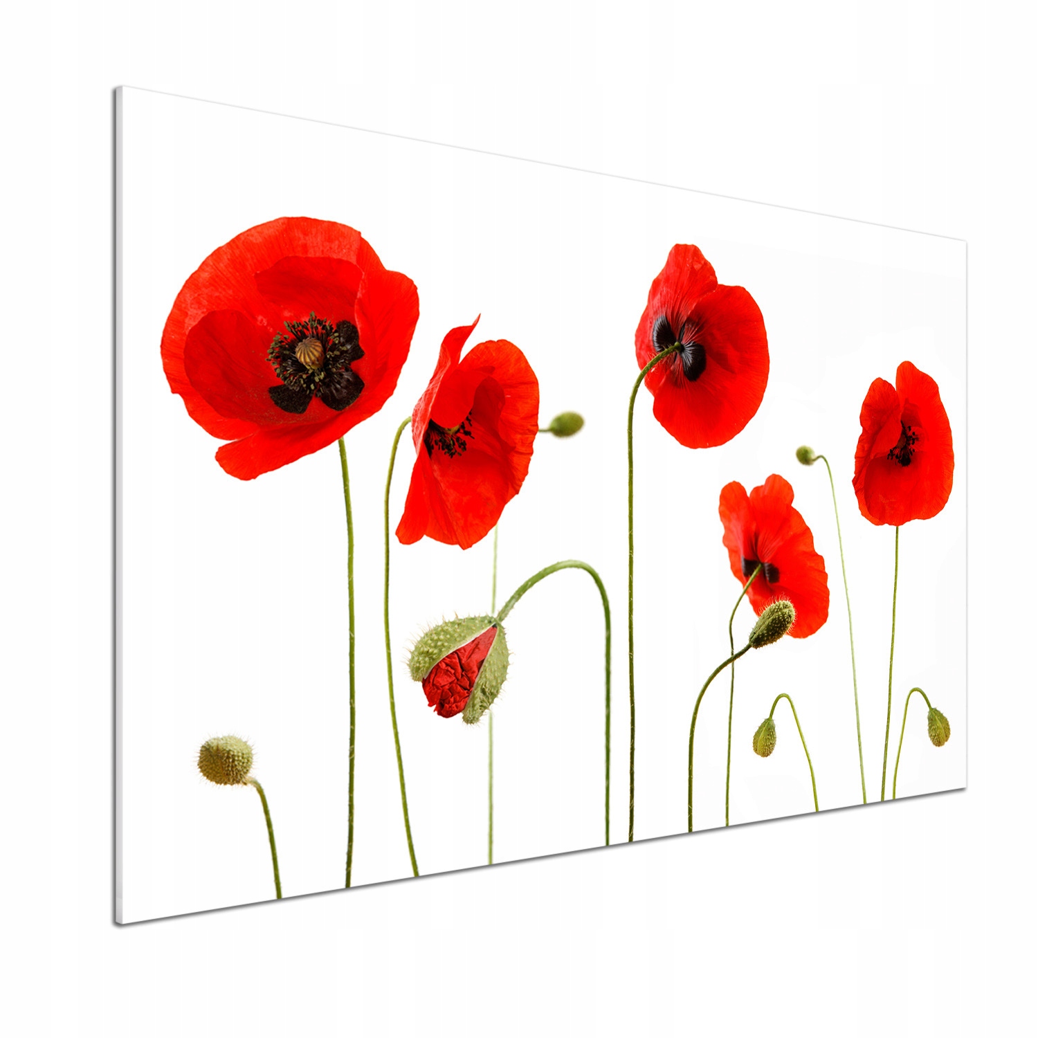 Skleněný panel do kuchyně Maki 100 x 70 cm Lepidlo
