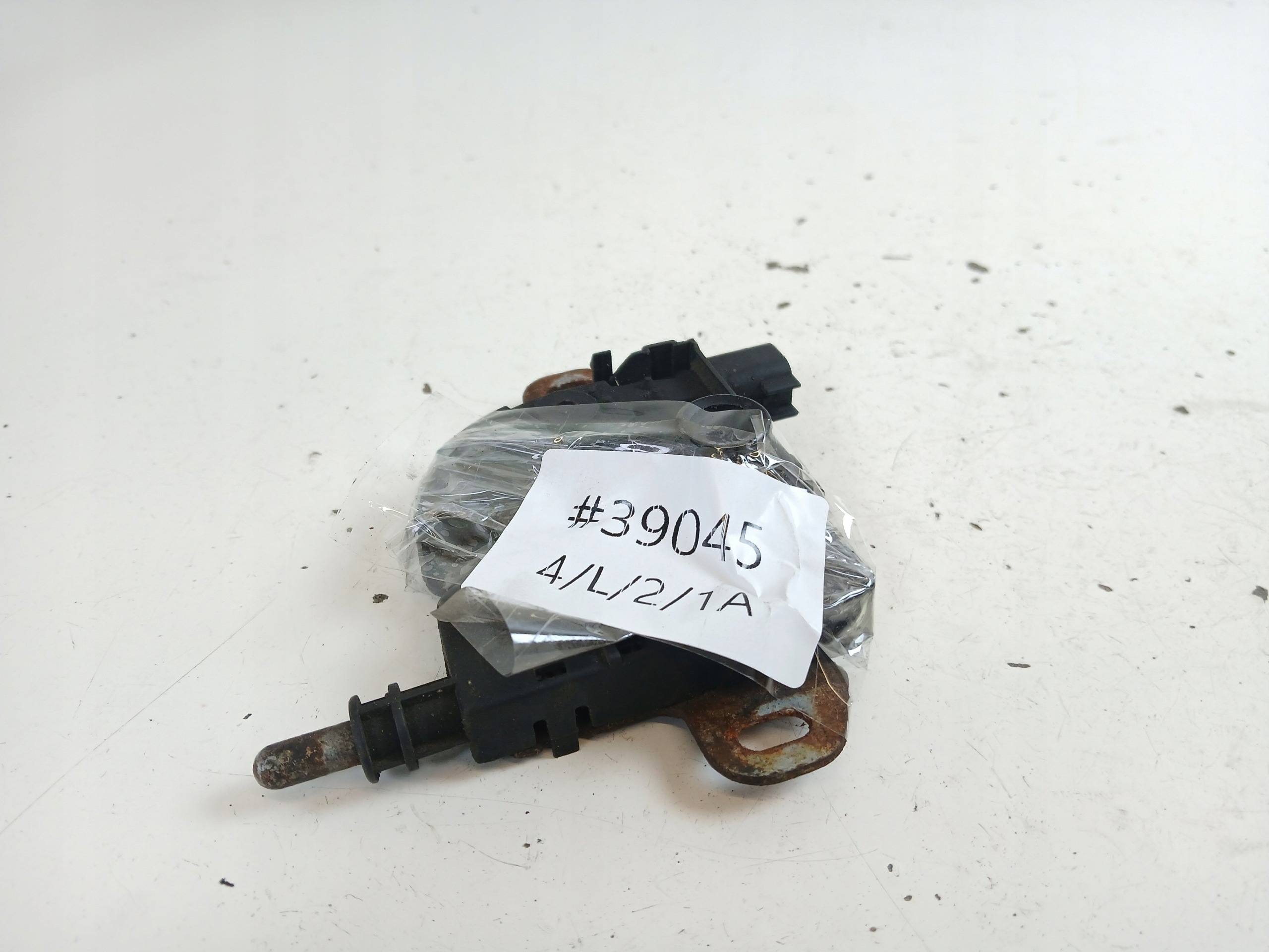 FORD FOCUS MK1 lock RYGIEL bonnets