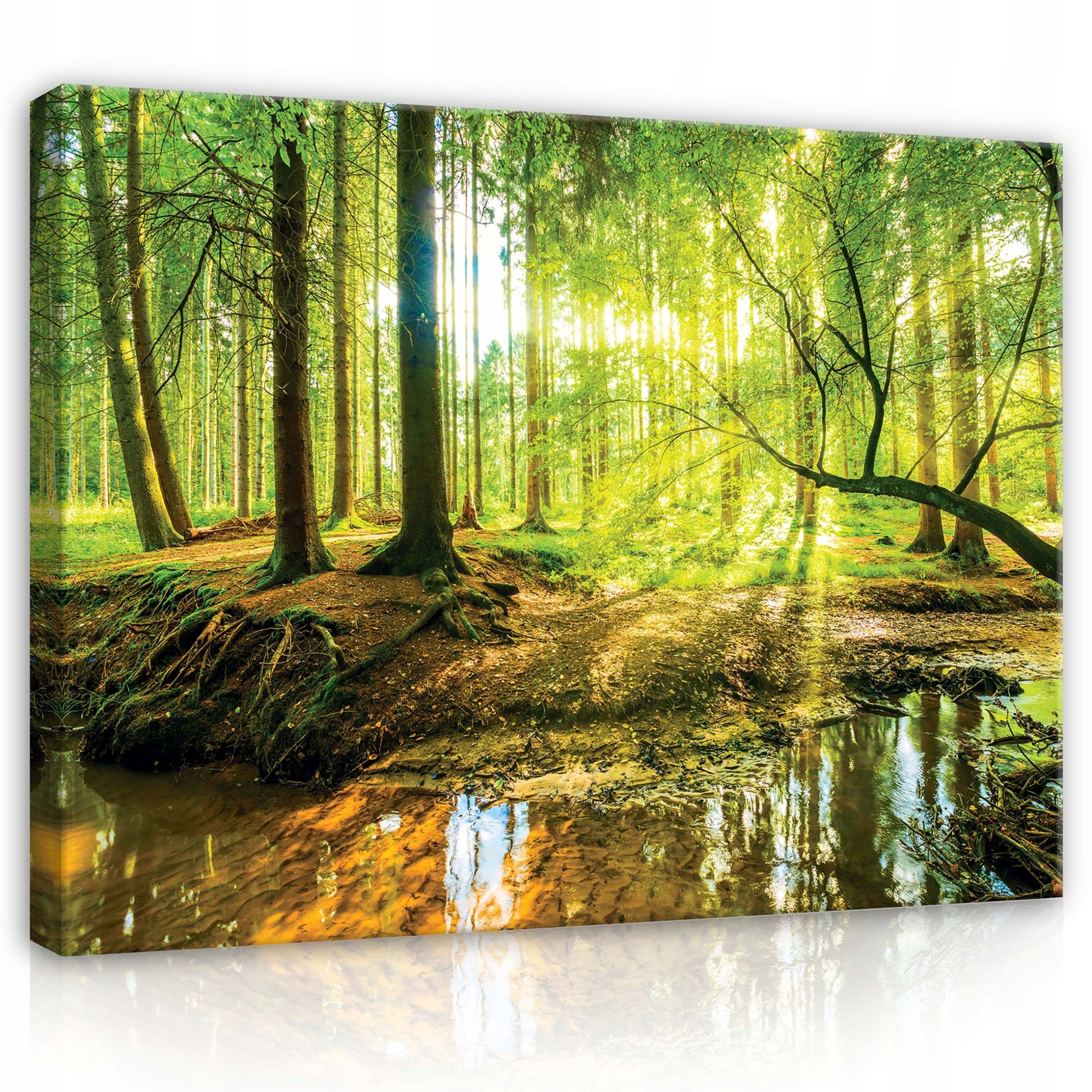 Obraz 100x80 Lesní hloubka Zvýrazňující krajinu do předsíně