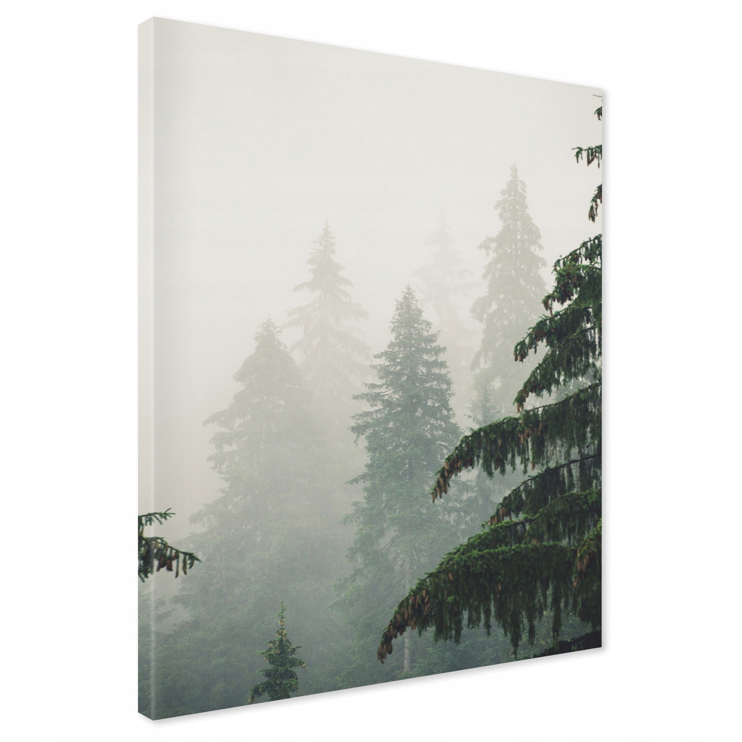 Obraz na płótnie 80x120 Las We Mgle XXL Canvas Duży do Salonu Premium