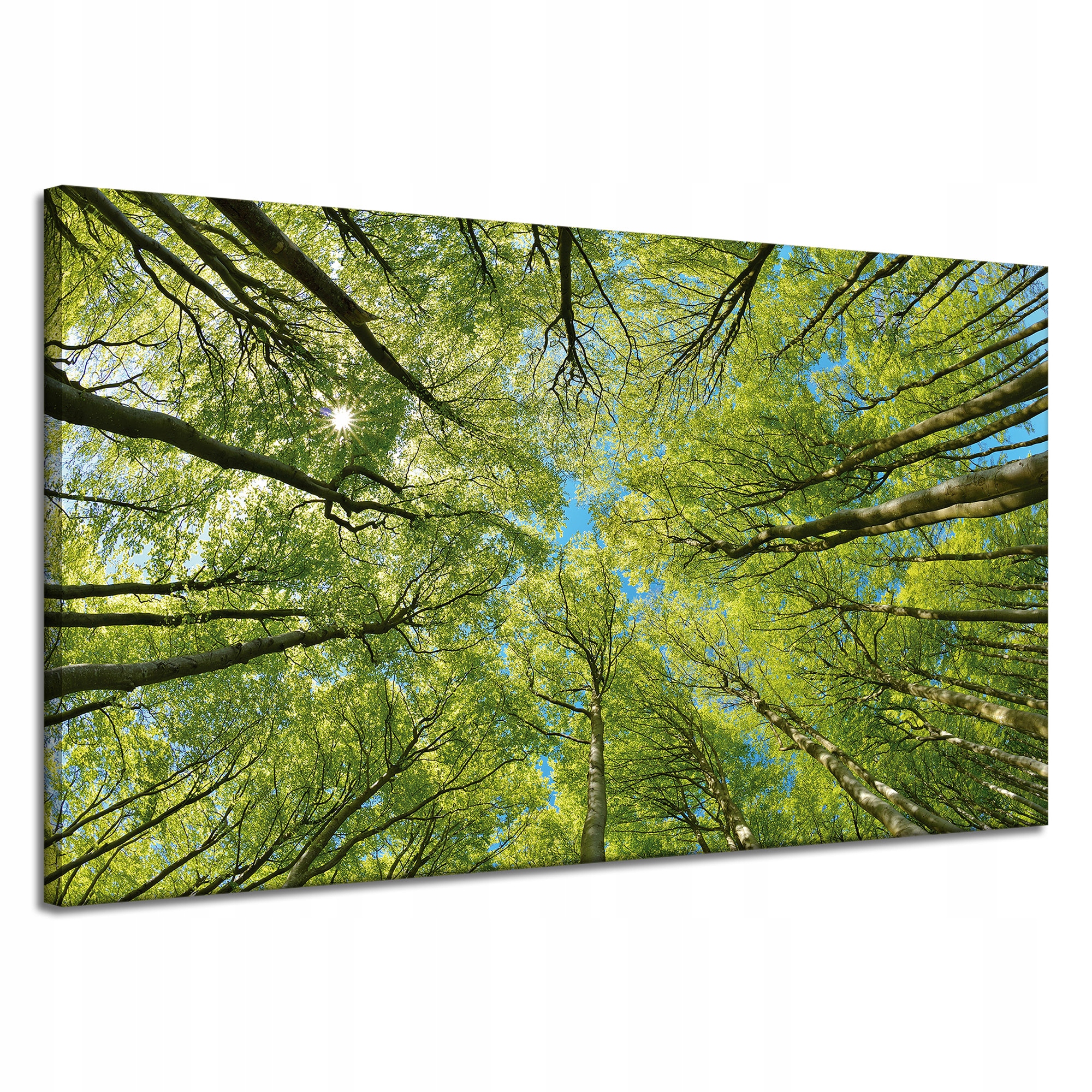 Obraz na plátně Listy Stromy Zeleň Slunce Nebe 120x70 cm