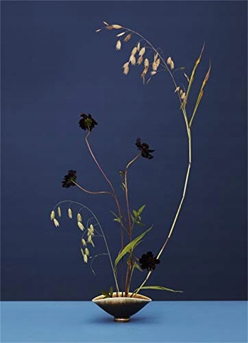 Victoria Gaiger Modern Ikebana: A New Wave in Floral Design Autor Tom Loxley Victoria Gaiger