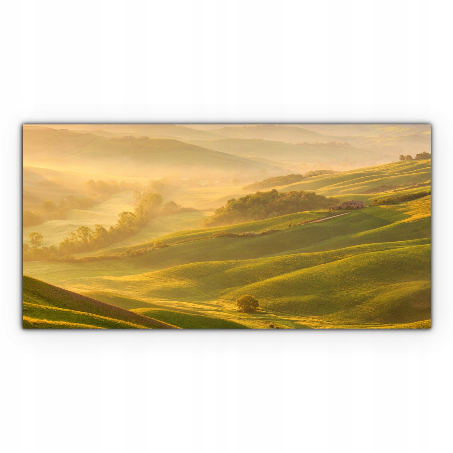 

foto-obraz na płótnie 120x60 Poranna Mgła Natura