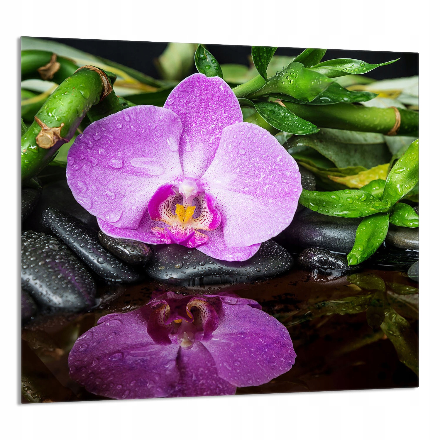 Skleněný Panel Do Kuchyně 65x60 Orchidej Tvrzené Sklo