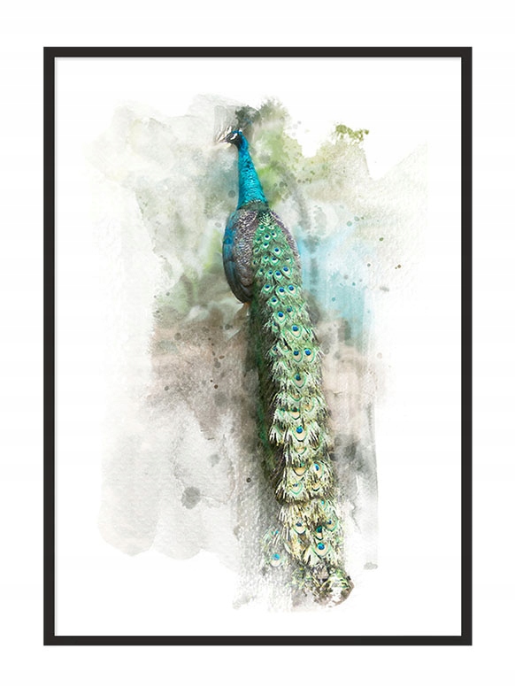 

Obraz Plakat W Ramie 43x33 cm Paw P768
