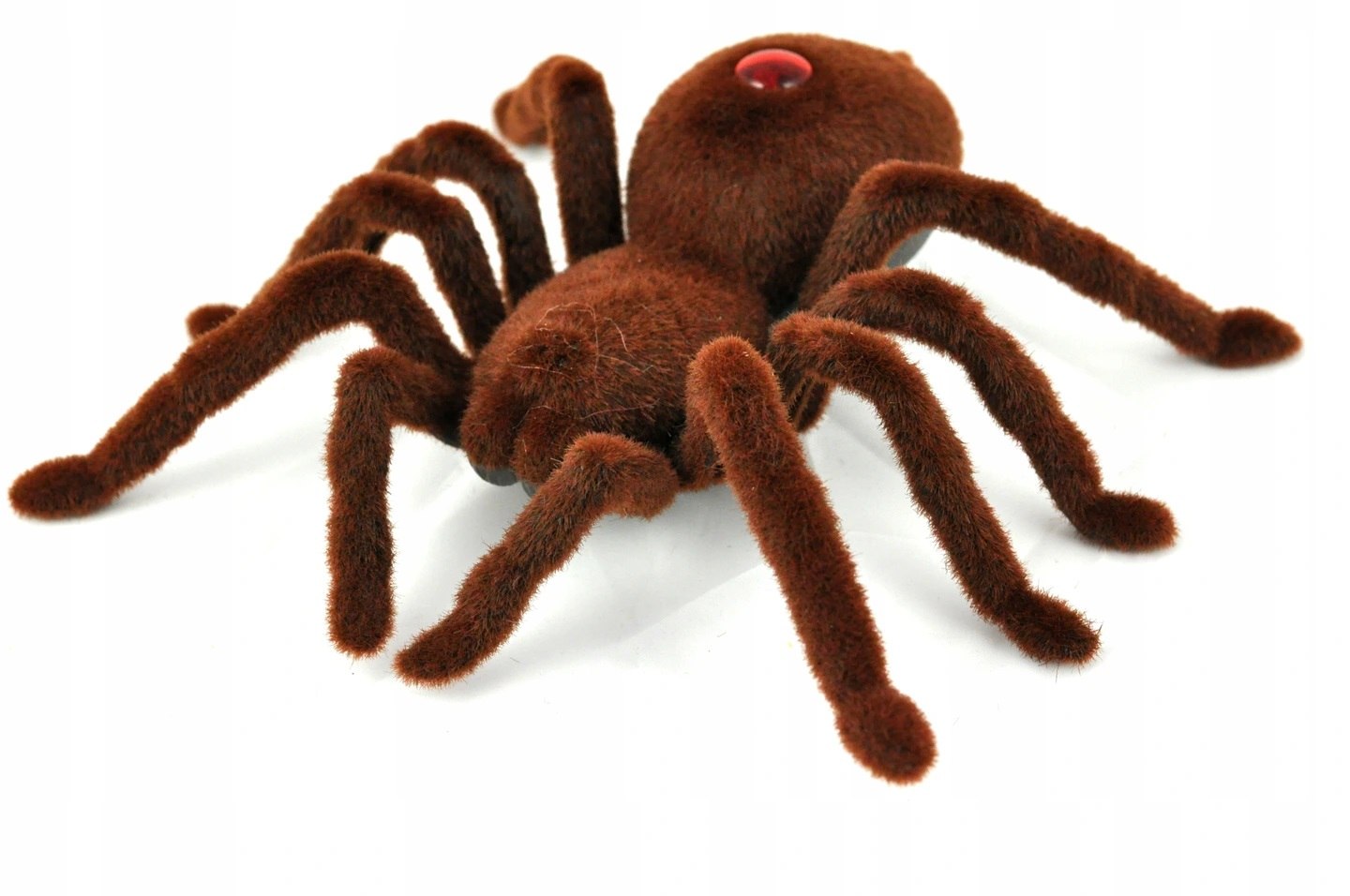 

Przerażający Pająk Tarantula Zdalnie Sterowany