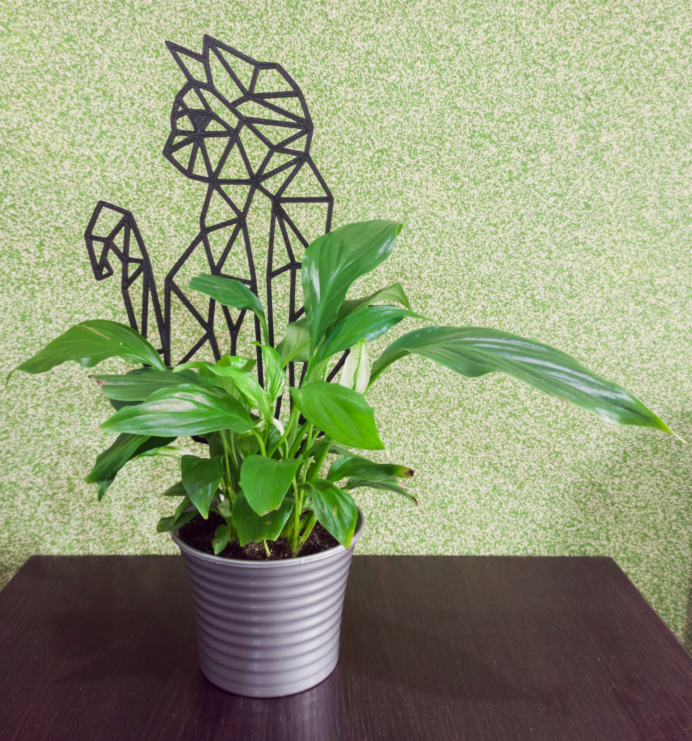 PODPÓRKA KWIATÓW ROŚLIN DRABINKA PERGOLA KOT 37cm Rodzaj drabinka