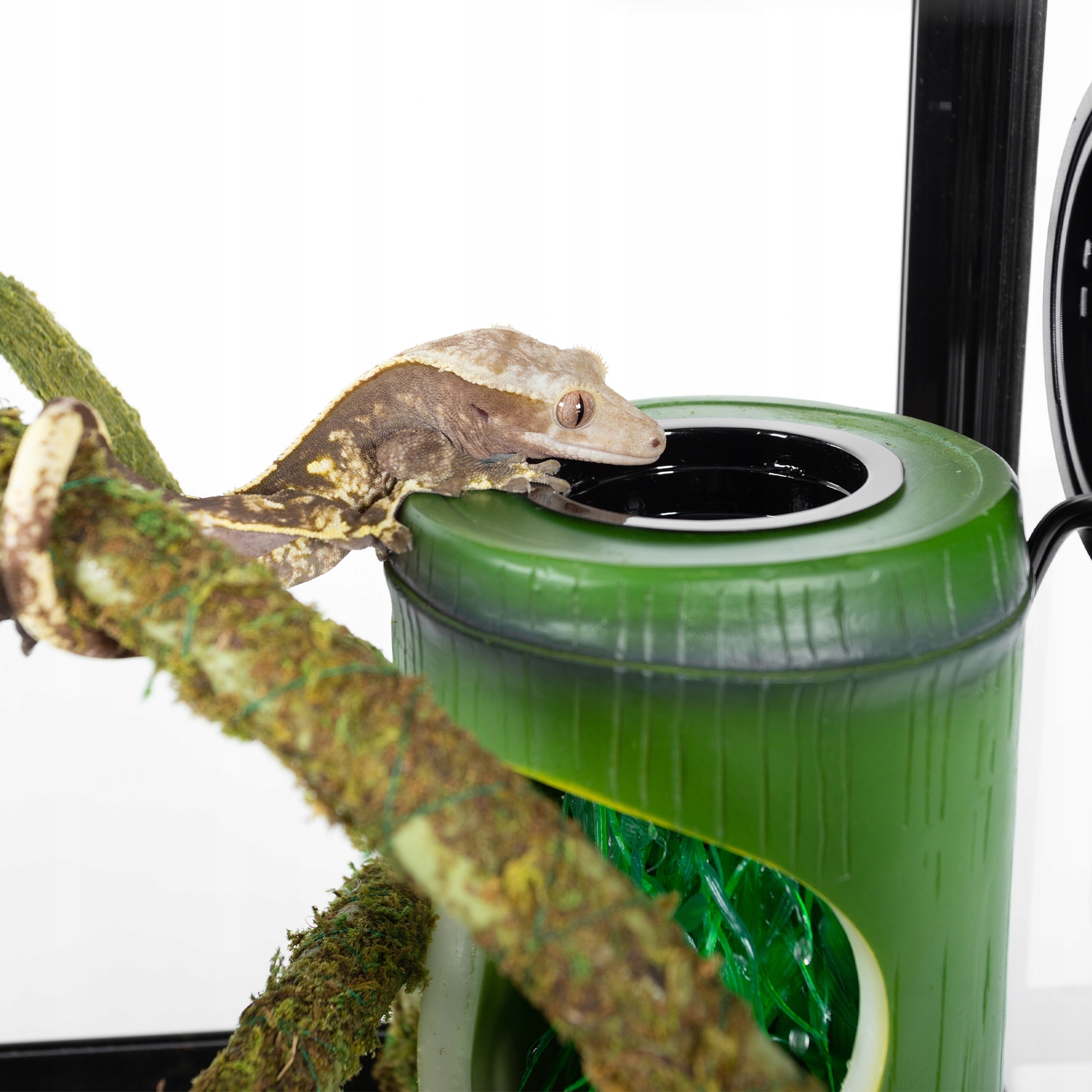 Fontána Bambus Pro Gekony Reptizoo DF02