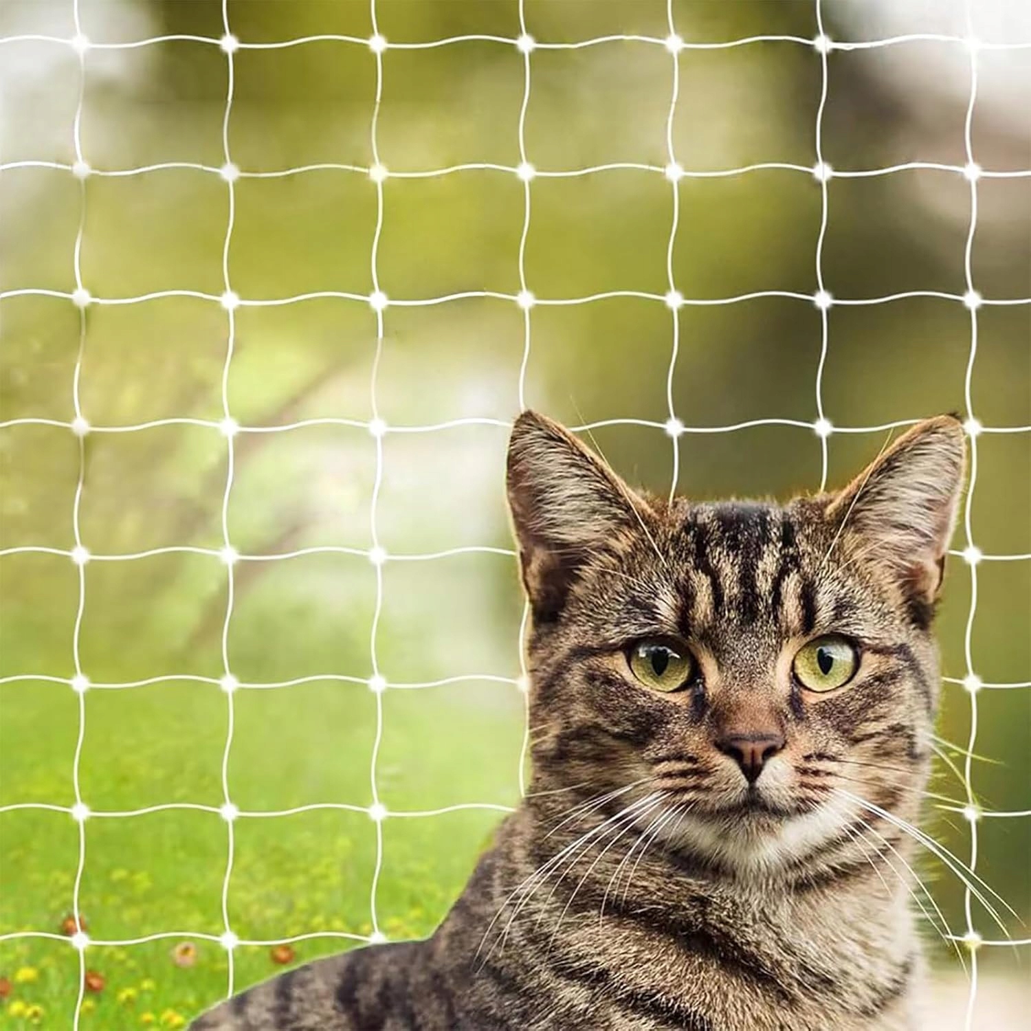 Ochranná síť pro kočky nylon 8x3 m průhledná, snadná montáž