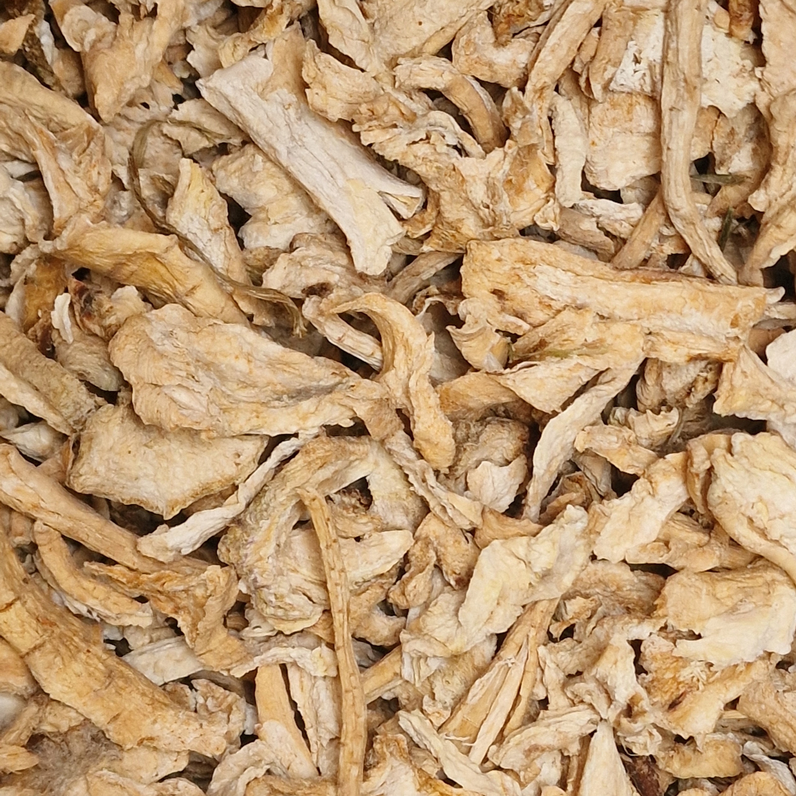 Levně Petržel kořen sušený řezaný 5 kg Zioła z Kurpi